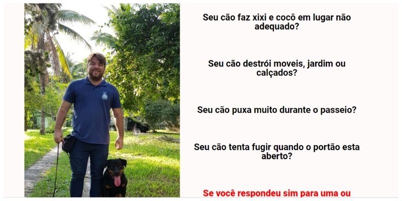 Curso Adestrador em Casa